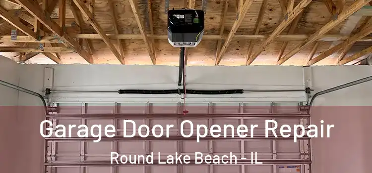  Garage Door Opener Repair Round Lake Beach - IL